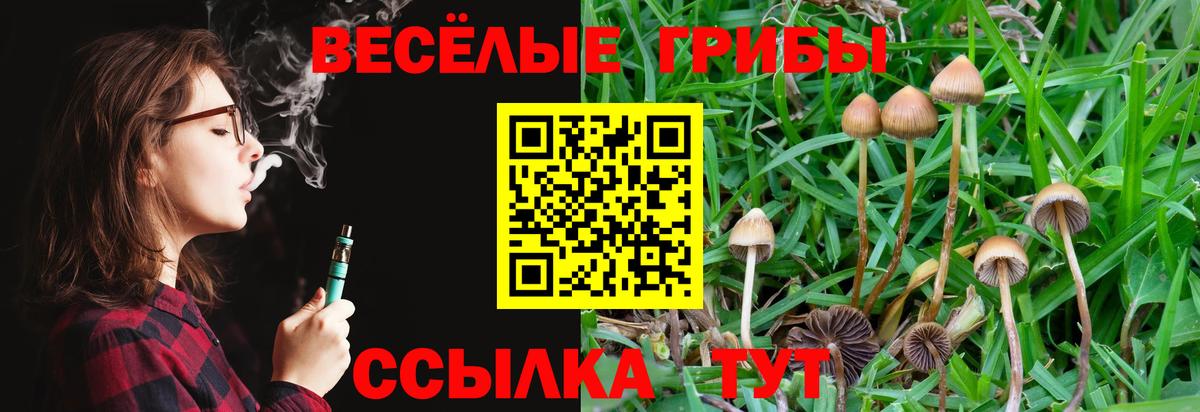 Волжск  наркота  Вход с VPN  Псилоцибиновые грибы прущие грибы  Псилоцибиновые грибы ЛСД 